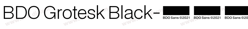 BDO Grotesk Black字体转换